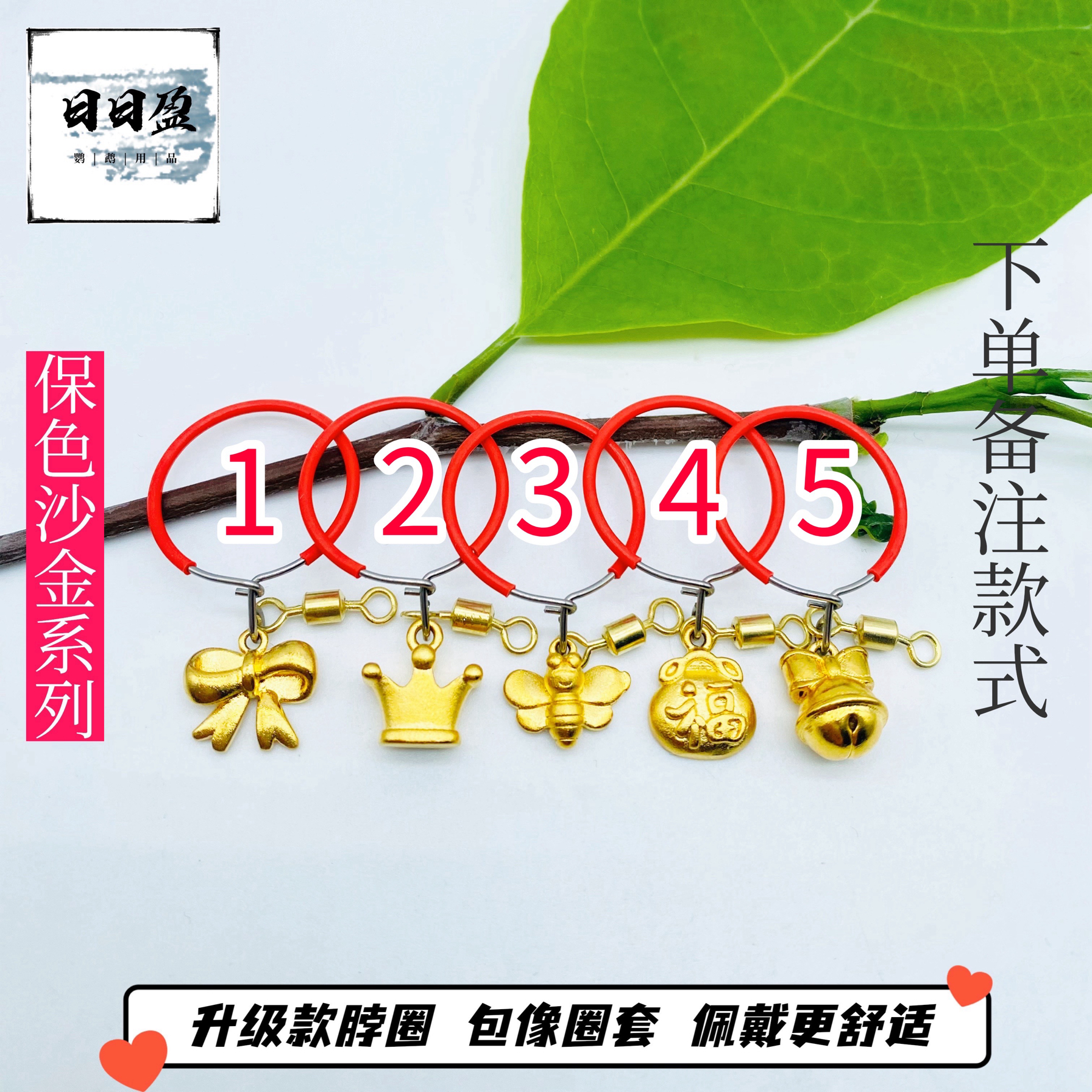 鹦鹉不锈钢脖套训练脖圈遛鸟放飞脚链小太阳玄凤牡丹栓鸟链子绳子