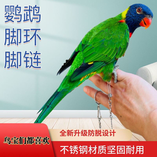 鹦鹉鸟用不锈钢链子脚环防脱扣防咬遛鸟链玄风牡丹小太和尚站架链