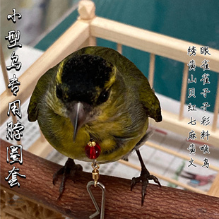 黄雀绣眼七彩文鸟脖套栓鸟绳细链子贝子山雀绣眼脖圈小型鸟专用