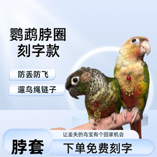 鹦鹉脖套玄风牡丹脖圈小太脚环脚链栓鸟链子户外遛鸟放飞绳刻字