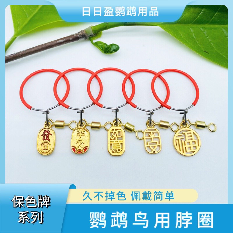 鹦鹉不锈钢脖套训练脖圈遛鸟放飞脚链小太阳玄凤牡丹栓鸟链子绳子