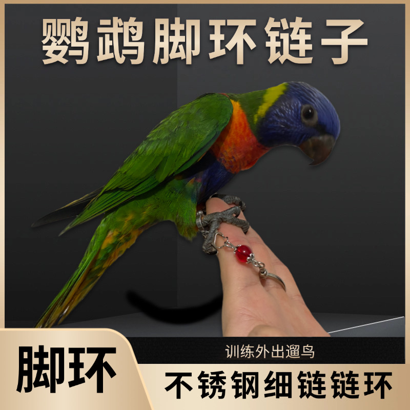 鹦鹉脚环链子不伤脚超轻训练绳虎皮玄凤牡丹脚环脚链脖套飞行绳