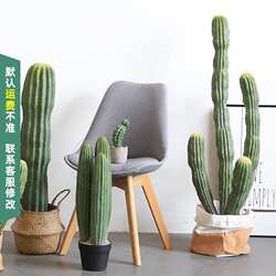 墨西哥仙人掌仿真仙人柱沙生景观造景摩洛哥风格假绿植盆栽真