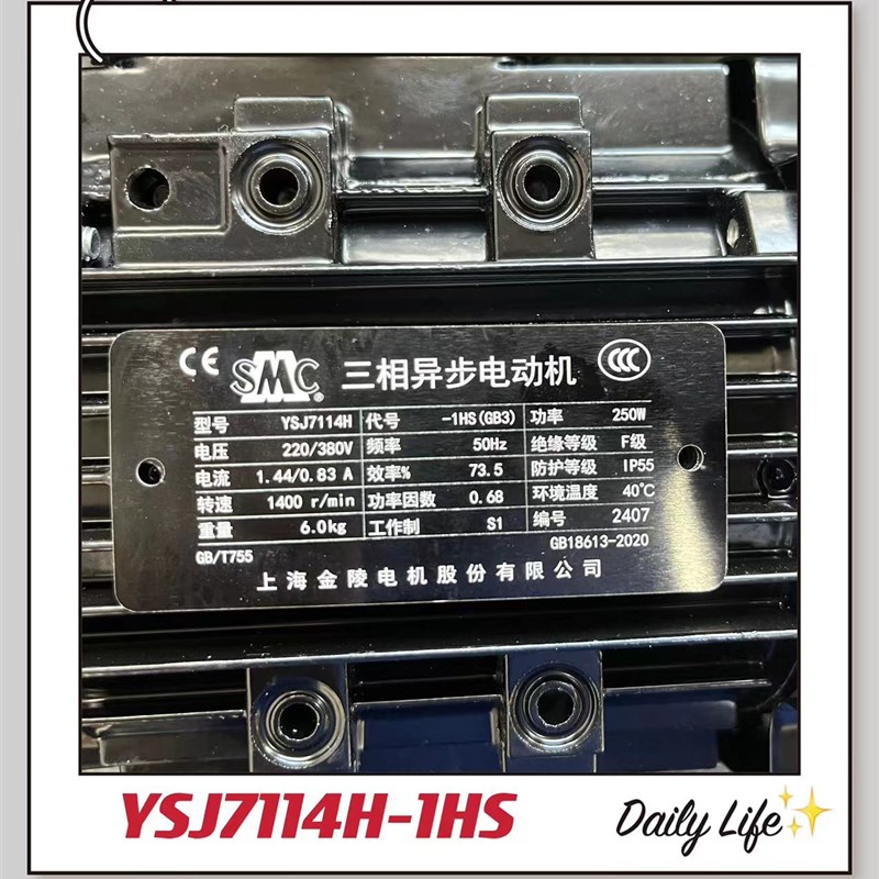 YSJ7114-1HS YSJ7114H-1HS 250W上海金陵电机/上海金陵雷戈勃劳伊