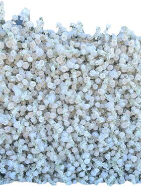 IFG婚礼布底背景玫装花饰仿墙真2.4*2.4m白色5D瑰绣球商224场橱窗