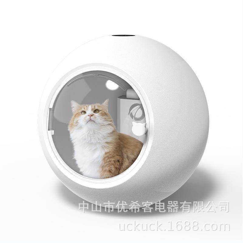 智恒温无品牌/能宠物干箱咪烘狗狗家用洗澡烘干机宠物吹毛猫吹水