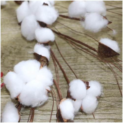 现货干花棉花花环木棉花门挂ins欧美圣诞装饰门环挂件