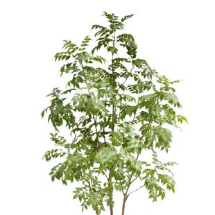 VUJ含真阳仿真绿植漆玄木树栽绿植盆北欧风家居大型关落地仿树
