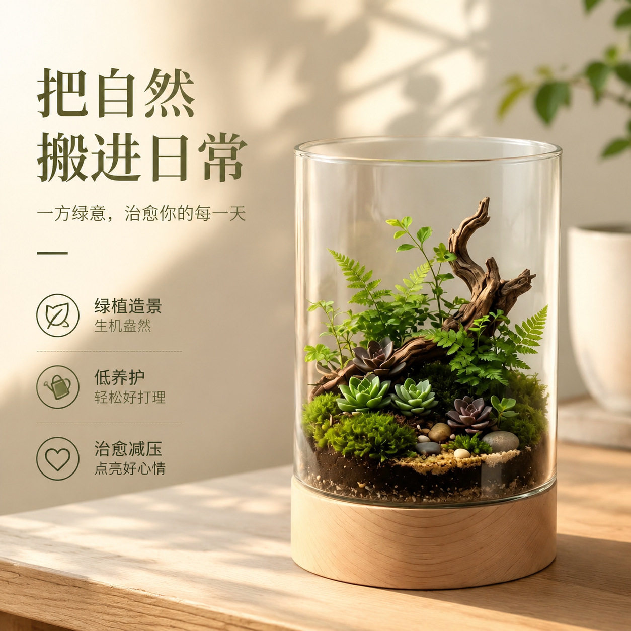 桌面鱼缸微景观生态瓶水