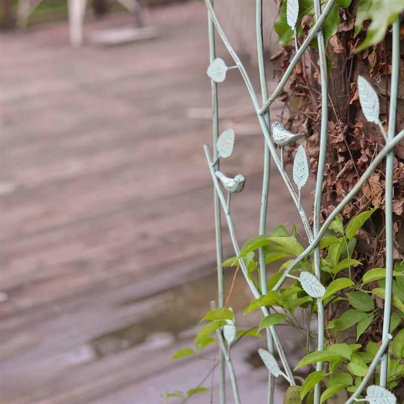 铁线莲爬藤架户外l月季铁艺栅栏庭院阳台植物墙攀爬花架支架隔断,鲜花速递/花卉仿真/绿植园艺,花架,淘宝优惠券,粉丝福利购,淘宝优惠卷