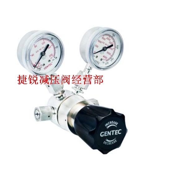 GENTEC高纯减压器 U21SLGK-DIP-91-91 不锈钢阀