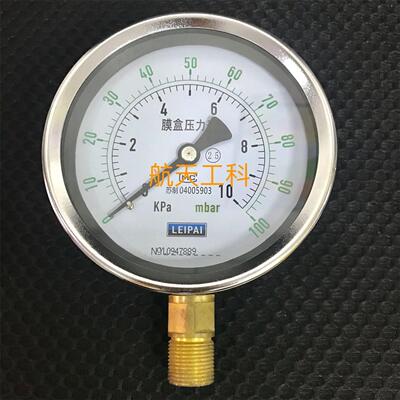 表面直径100mm 压力0-100mbar 微压压力表 气体膜盒压力表 ye-100