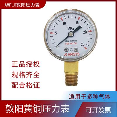 AMFLO敦阳黄铜压力表G20B 316L不锈钢压力表  25MPA  1.6MPA 0.4M