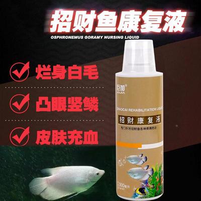 招财鱼专用药热带鱼药战船鱼烂身红斑红点赤皮肠炎血凸眼观赏鱼药