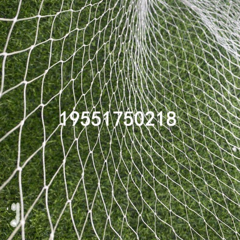 聚酯纤维复丝g防鸟网果树樱桃葡萄梨树蓝莓果园防鸟用网鱼塘天网,农机/农具/农膜,农用防鸟网,淘宝优惠券,粉丝福利购,淘宝优惠卷