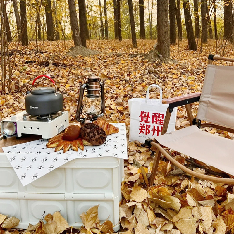 户外露营桌e椅车载折叠收纳箱便携式野营野炊桌子野餐装备用品全,户外/登山/野营/旅行用品,露营折叠箱,淘宝优惠券,粉丝福利购,淘宝优惠卷