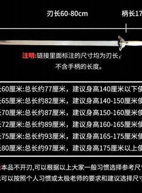 W63PksZFy白色太极剑晨练武术表人演训练p软剑响剑舞蹈拍照古儿童