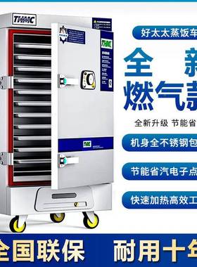 饭柜商用AWX大型电蒸2蒸4盘双箱门工厂食堂学校蒸米饭馒头子包蒸