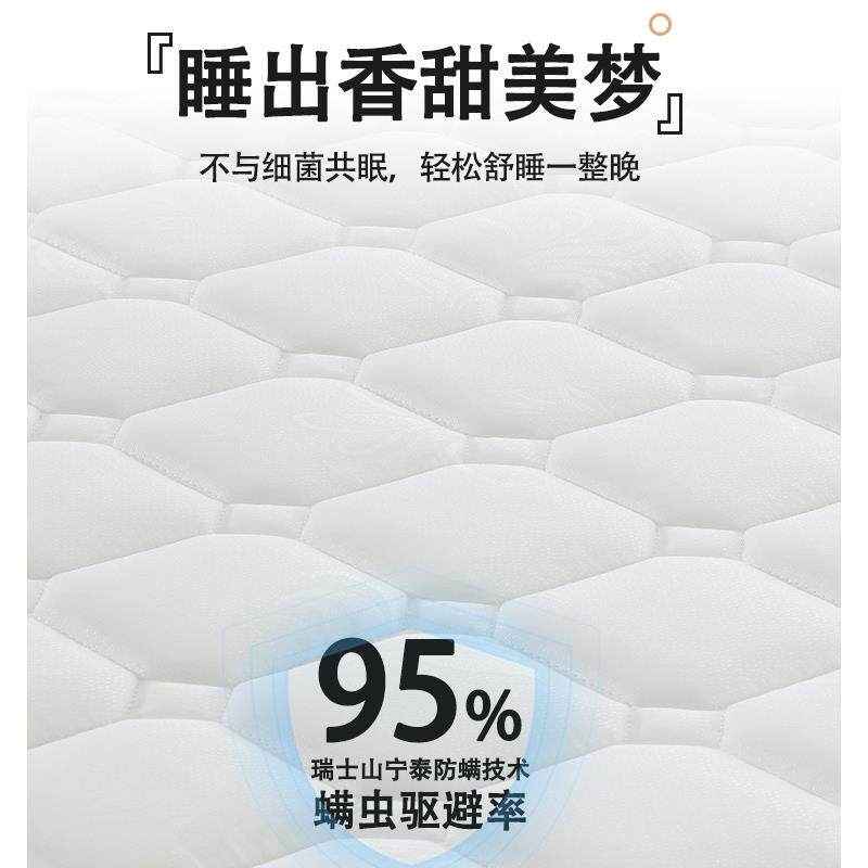 特米硬床薄垫子天然家纯棕用粽卧室无品牌/护脊腰12出租房10公分