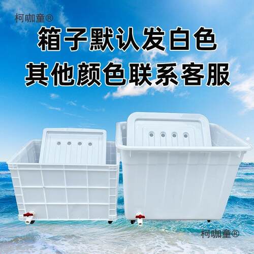 大号带轮子周轱转箱养龟带排特水口养61920鱼水殖箱带孔水产养带