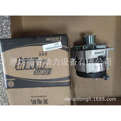 61261260009600090206D原A潍柴D10/WP10/WD12W发电612600090机206