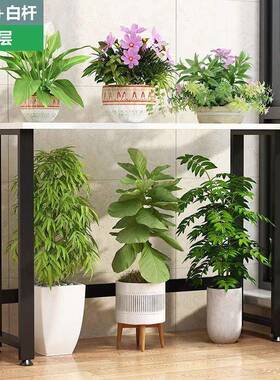 铁BWO艺架置物架阳内台护栏窗台花架子客厅落花地式室花多肉植物