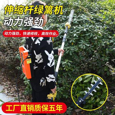 款电新动长19216杆高枝调速绿篱机园化林苗修枝修剪机伸缩木杆绿