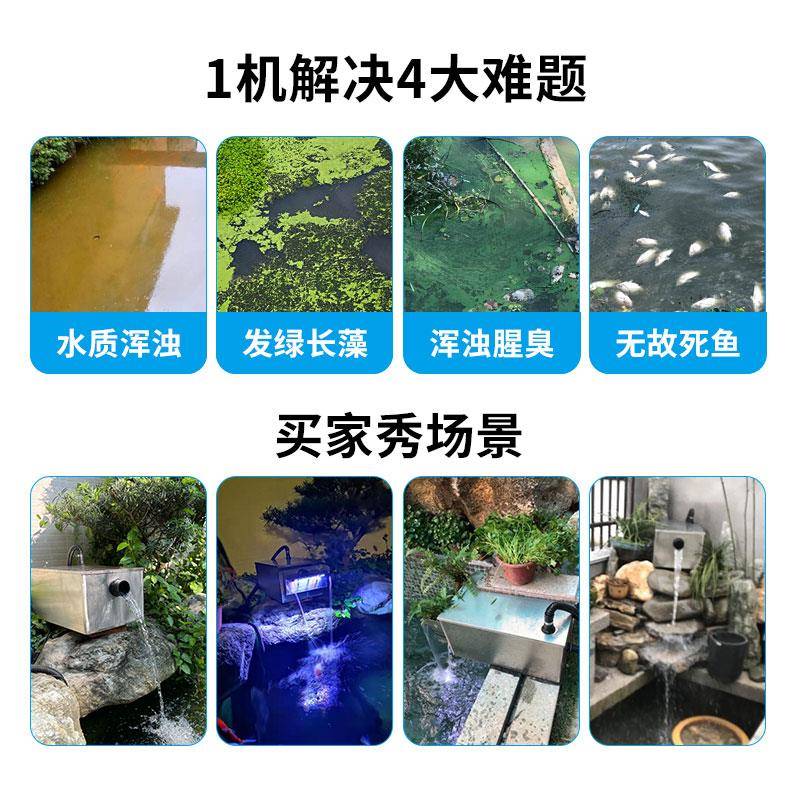 鱼池过滤器水ZBN循环系统外养鱼过滤净化室户庭院鲤锦外池净水过