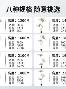 仿真绿植蓝花楹叶植式盆栽室64015内客厅装饰轻奢件摆假树造景中