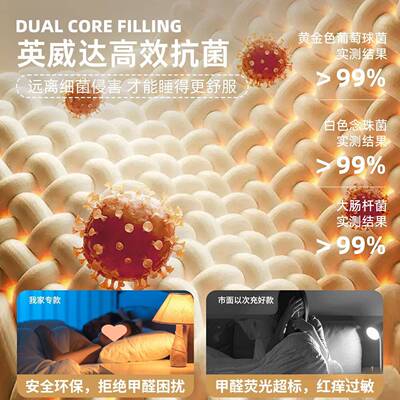 3484乳胶床垫软垫家用卧新室学海绵垫子宿舍租生单人床房榻榻米款