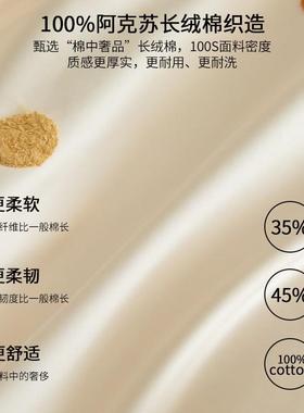 100S缎棉长毛巾贡绣床上四绒件套FLL纯棉全棉儿童床笠款床品被套