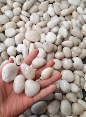 白色光鹅卵石天饰然装雨花石园石林家装工71256程白色抛雨花雨花