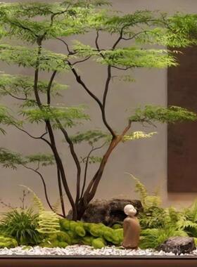 假枫树植装鸡爪槭景观造景橱窗场茶室植物饰摆78043件组合套商绿