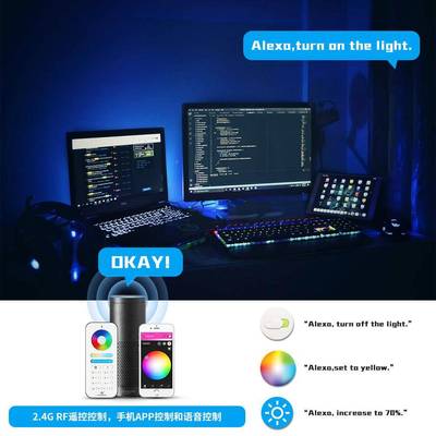 GleC-007Pdo照ptoZigBee3.0灯带RGBFW调光器无主明2.4GR遥控智能