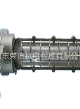 DJSDJS24/124/1227L矿用隔爆兼本安型LED巷灯道DHS40/12L矿用LE巷