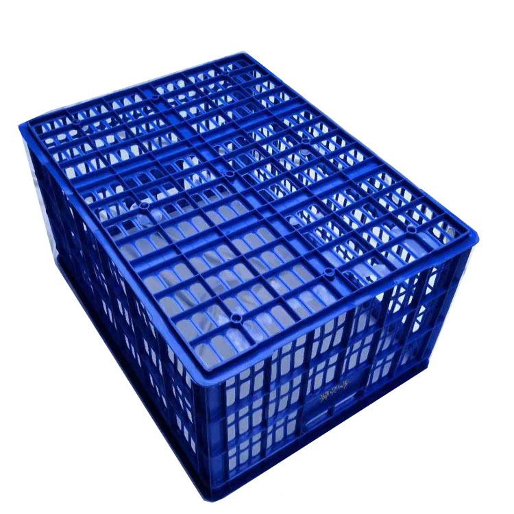 志明直流销物快专用塑料铁筐带耳13#箩塑料周递转筐大号周转箩