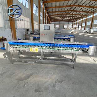 海参盒分机重09量大小分级机海料鲜海蛎子选分拣机分8个等可级