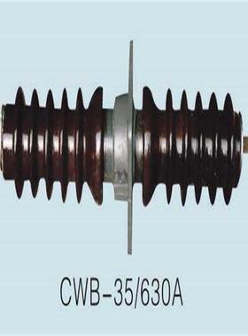 WWB-110DEG/600CWWB-10/2000瓷穿C墙套管厂家直供