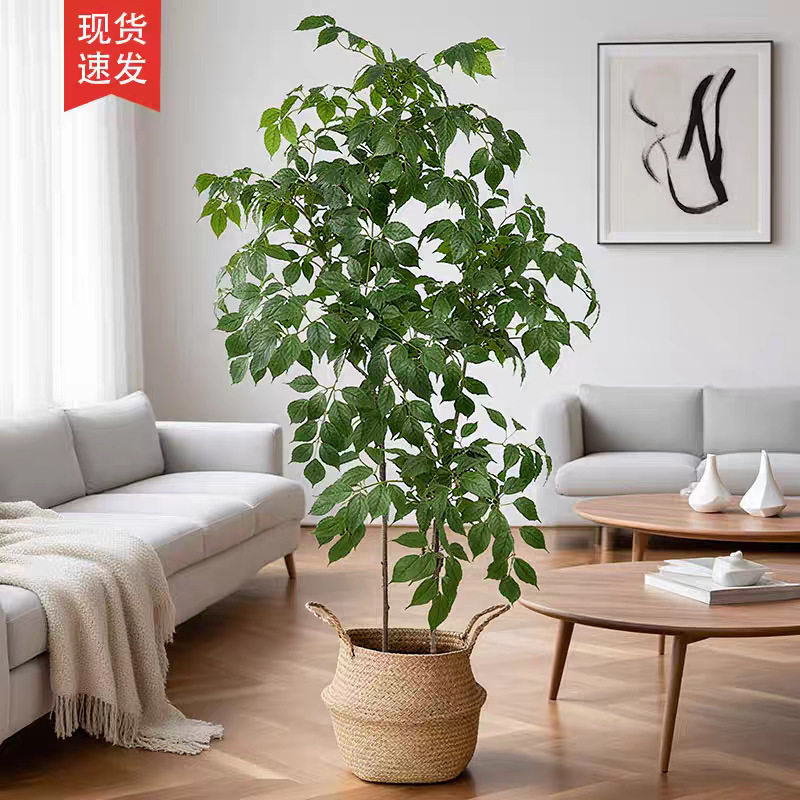 仿真幸福树落地绿植物盆栽室内客厅卧室橱窗吉利风水假树造景装饰