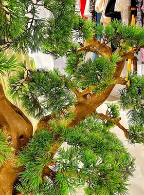 迎客真造景高端松松树室内外玄关53916装仿饰橱窗中式绿植软装假