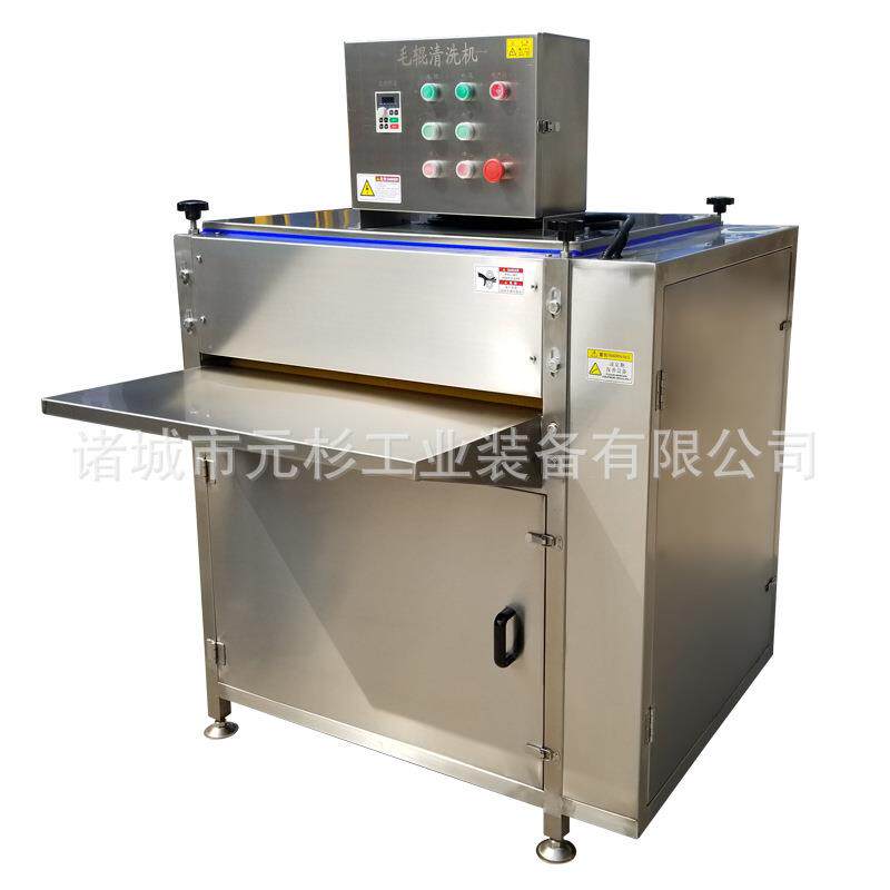 全自动粽叶毛辊清洗机薄荷叶芦苇叶清洗机粽子加工流水线设备