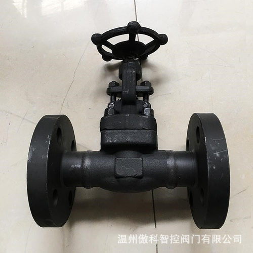 J41H-25C 锻钢A105 蒸汽导热油截止阀 高温高压截门阀 手动节流阀