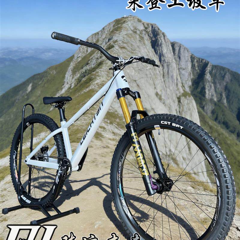 LEICHTEN来登土坡26寸 自行车 性价比促销版 动作 飞坡单速