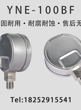 YNE100BF耐震不锈钢膜盒压力表ye100bf 0-16/25/40/60/100kpa上海