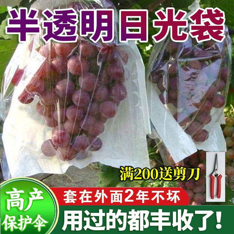 葡萄套袋杨桃专用透明莲雾西红柿水果育果袋子枇杷释迦防水虫
