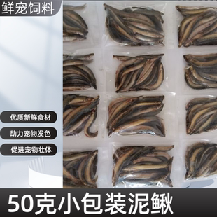 50克小包装冻泥鳅段麦穗鱼龙鱼增色鱼食河虾冻虾林蛙龙鱼饲料