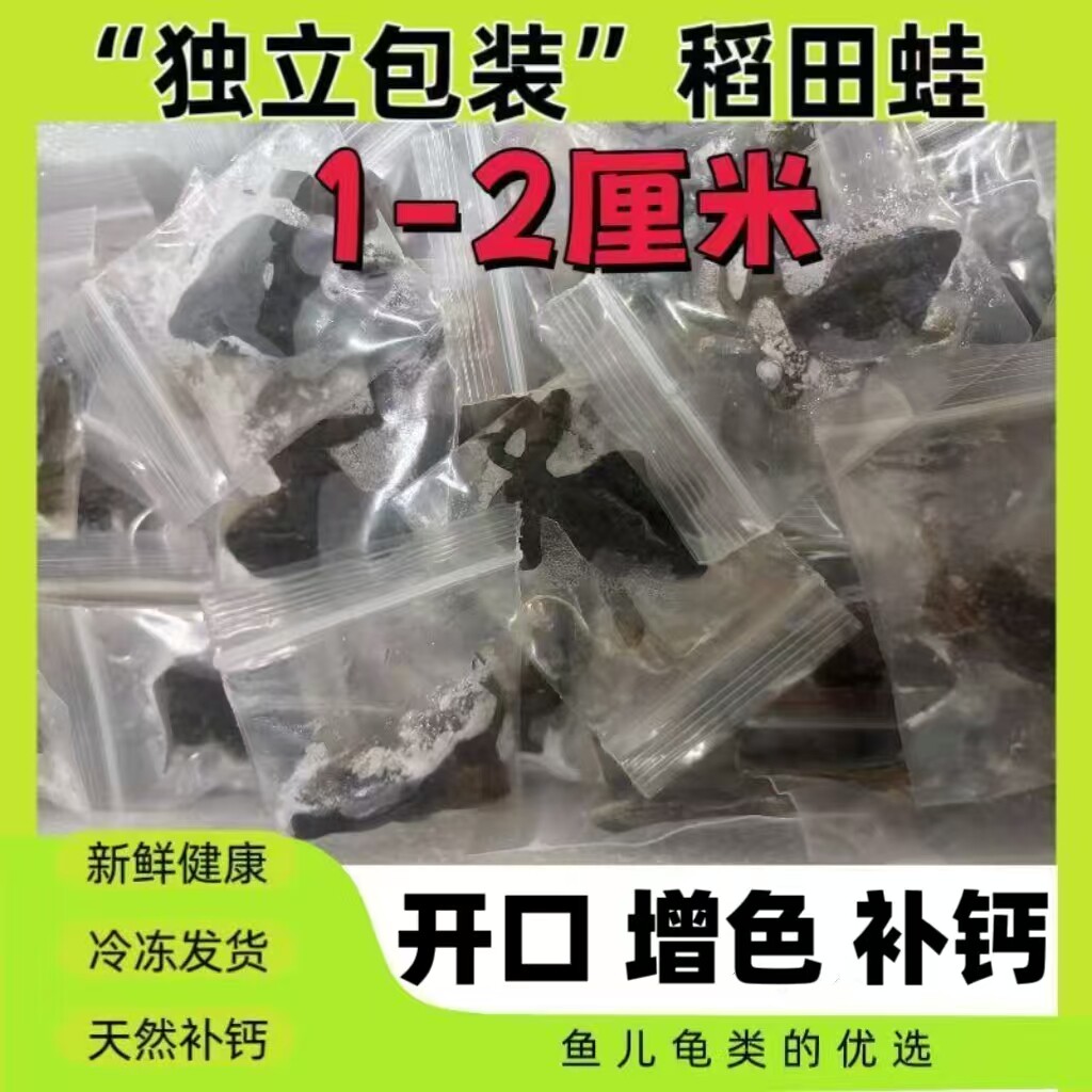 新鲜冻林蛙青蛙稻田蛙饲料蛙鱼食龙鱼增色雷龙鱼饲料泥鳅冻虾喂鱼