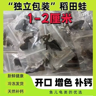新鲜冻林蛙鱼食龙鱼增色雷龙鱼饲料冷冻泥鳅蜈蚣冷冻虾喂鱼麦穗鱼