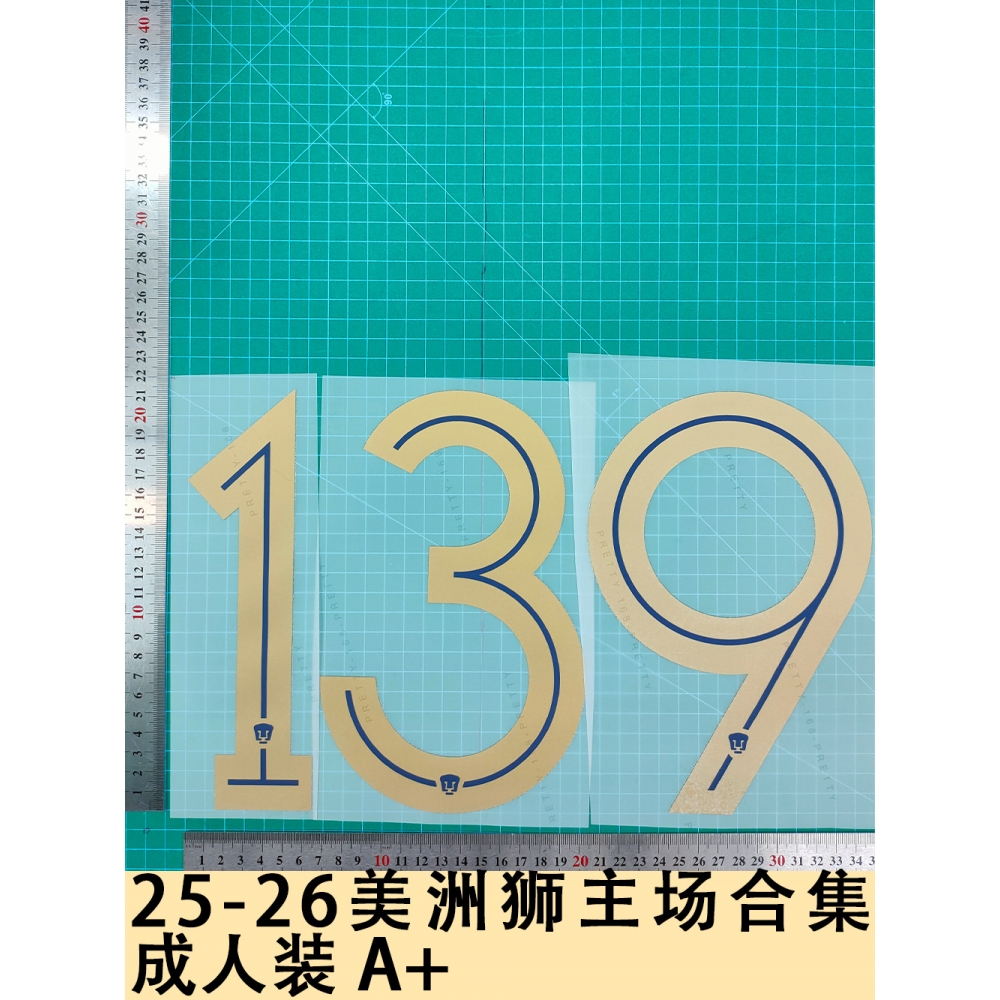 25-26美洲狮主场合集成人装A+