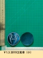 2019 Defending Medal (Small)